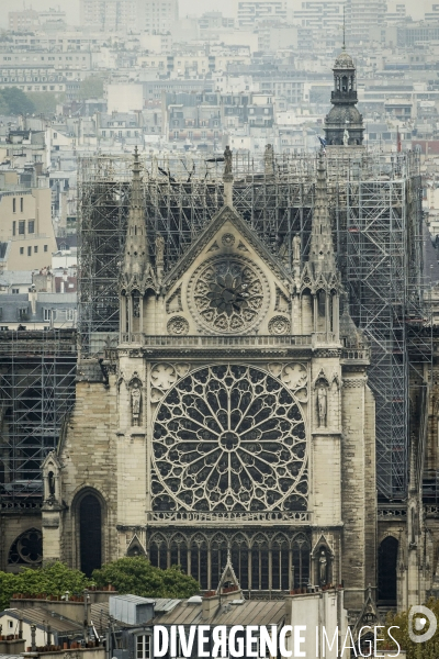 Notre-Dame de Paris, le jour d après l incendie.