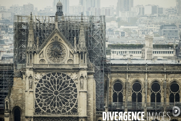 Notre-Dame de Paris, le jour d après l incendie.