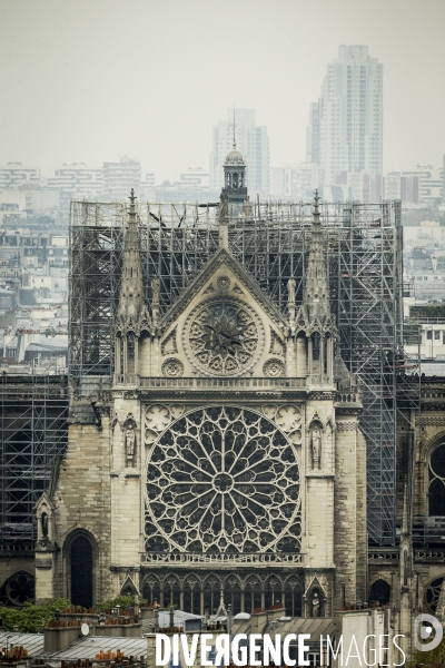 Notre-Dame de Paris, le jour d après l incendie.