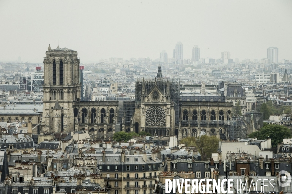 Notre-Dame de Paris, le jour d après l incendie.