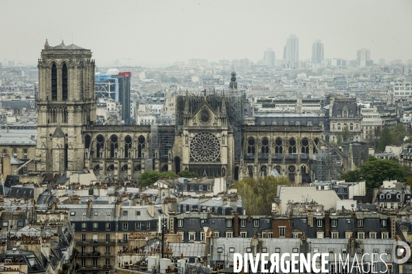 Notre-Dame de Paris, le jour d après l incendie.