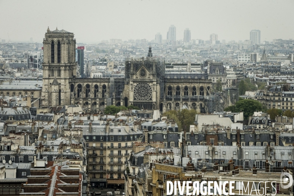 Notre-Dame de Paris, le jour d après l incendie.