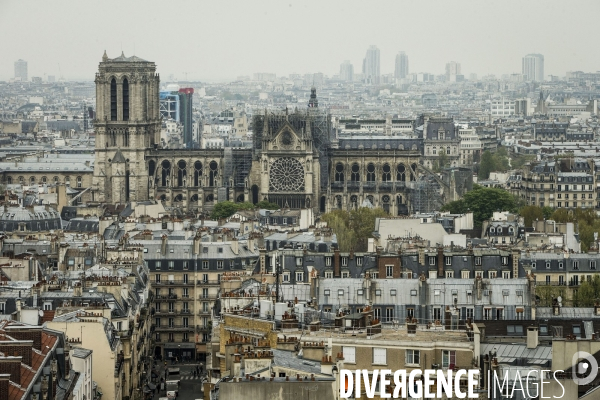 Notre-Dame de Paris, le jour d après l incendie.