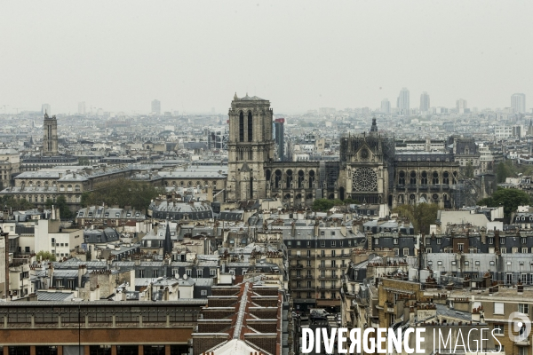 Notre-Dame de Paris, le jour d après l incendie.