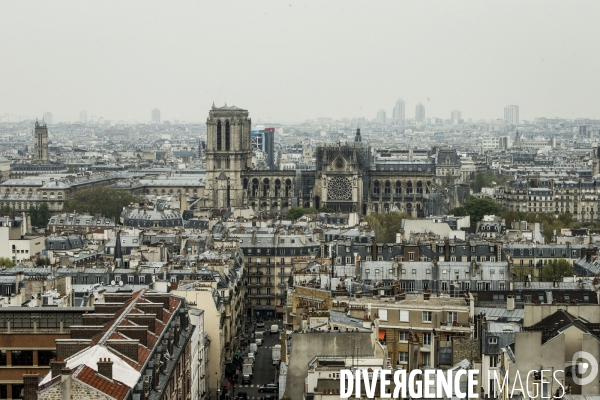 Notre-Dame de Paris, le jour d après l incendie.