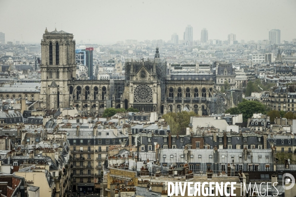 Notre-Dame de Paris, le jour d après l incendie.