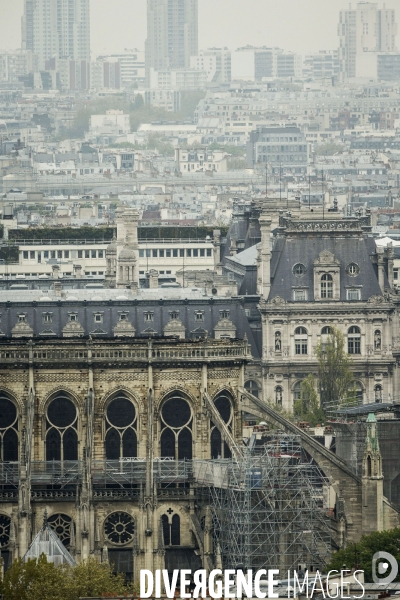 Notre-Dame de Paris, le jour d après l incendie.