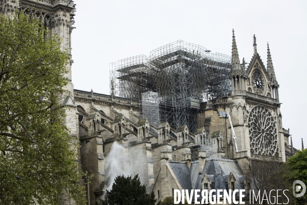 Notre-Dame de Paris, le jour d après l incendie.