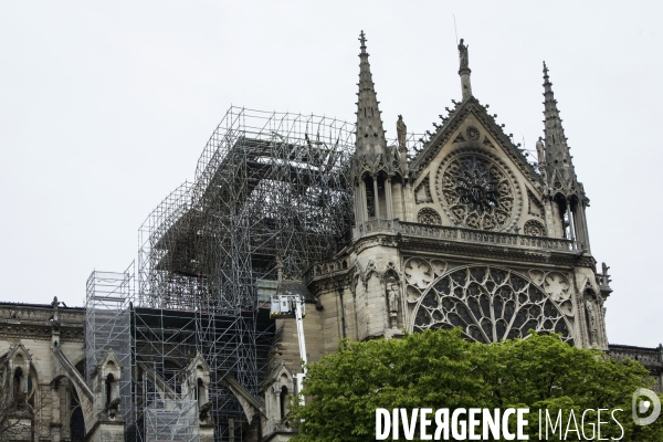 Notre-Dame de Paris, le jour d après l incendie.