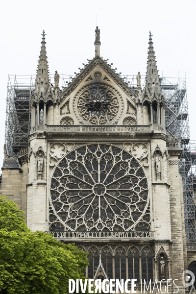 Notre-Dame de Paris, le jour d après l incendie.