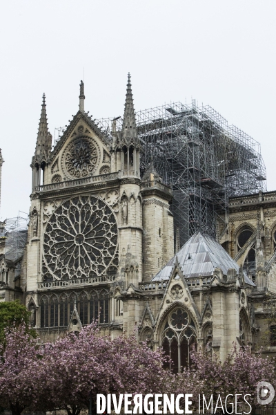 Notre-Dame de Paris, le jour d après l incendie.