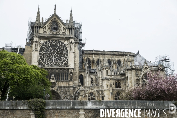 Notre-Dame de Paris, le jour d après l incendie.