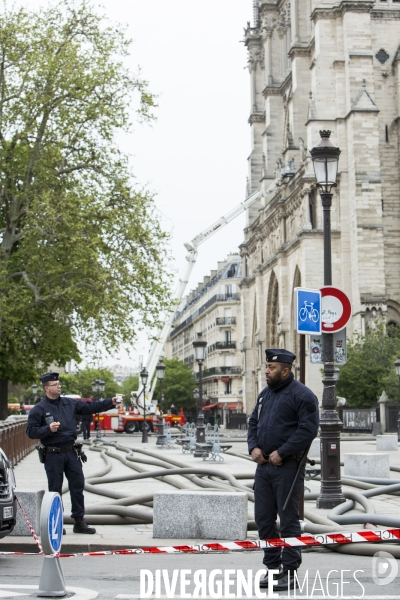 Notre-Dame de Paris, le jour d après l incendie.