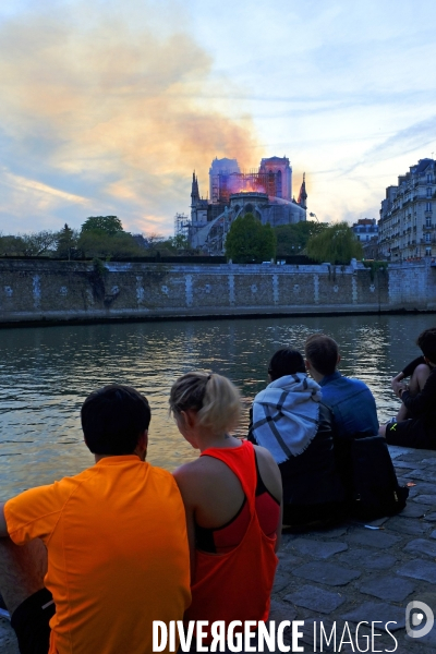 La cathédrale Notre-Dame de Paris en feu