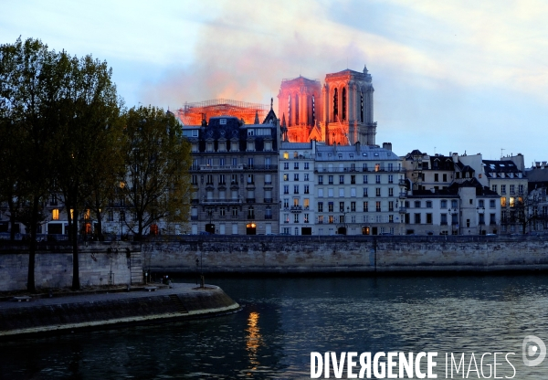 La cathédrale Notre-Dame de Paris en feu