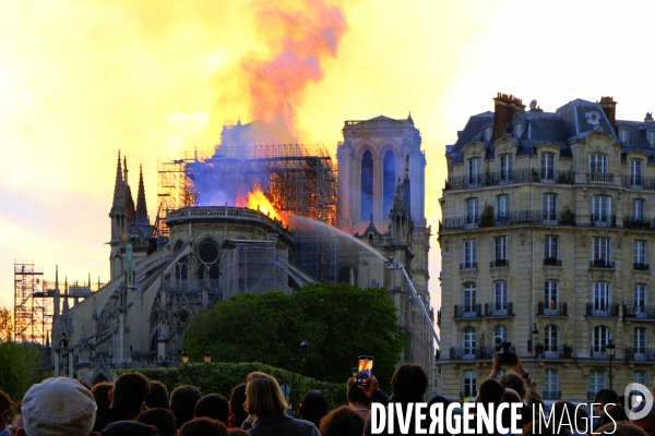 La cathédrale Notre-Dame de Paris en feu