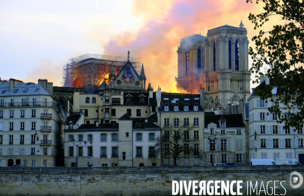 La cathédrale Notre-Dame de Paris en feu