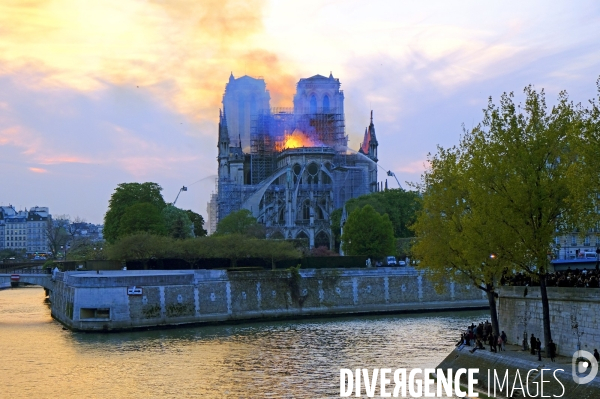 La cathédrale Notre-Dame de Paris en feu