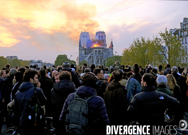 La cathédrale Notre-Dame de Paris en feu