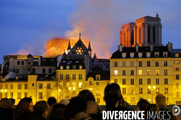 La cathédrale Notre-Dame de Paris en feu