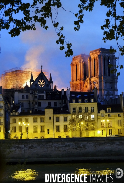 La cathédrale Notre-Dame de Paris en feu