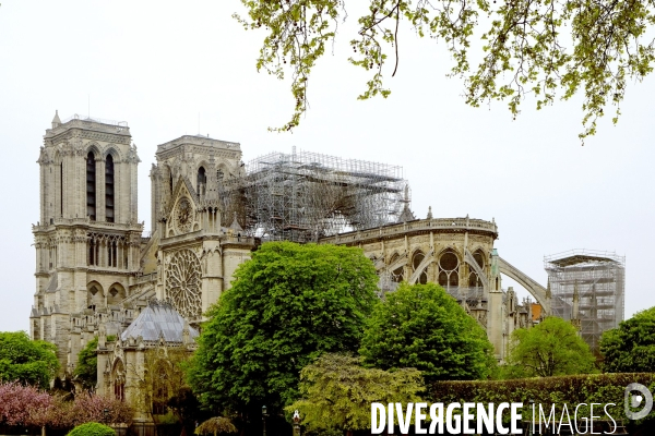 Incendie de la cathédrale Notre-Dame de Paris.Le jour d  aprés