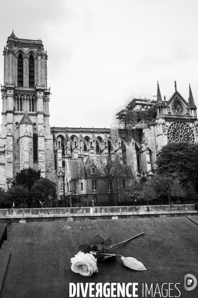 Notre-Dame de Paris, au lendemain de l incendie.