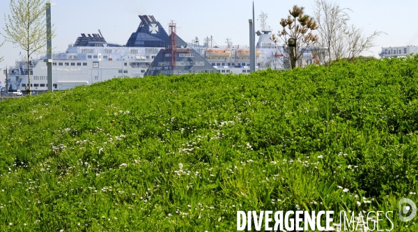 Et Calais devient une station balnéaire ! Amenagement du front de mer.Série 1