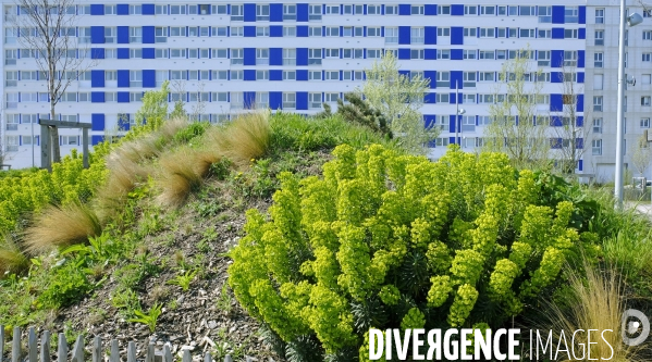 Et Calais devient une station balnéaire ! Amenagement du front de mer.Série 1