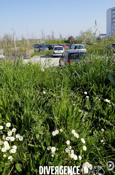 Et Calais devient une station balnéaire ! Amenagement du front de mer.Série 1