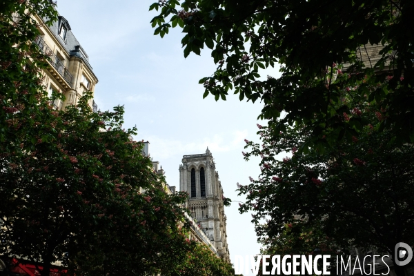 Notre dame de paris - lundi de paques