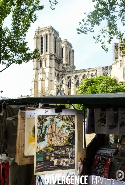 Notre dame de paris - lundi de paques