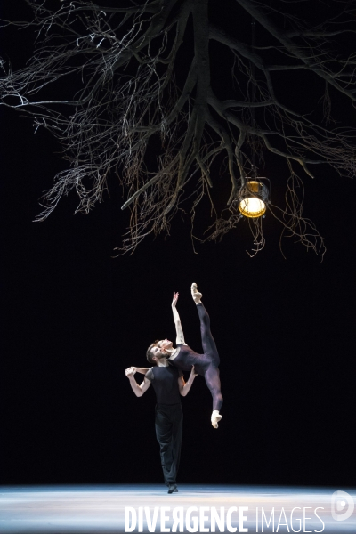 WINGS OF WAX de Jiri Kylian