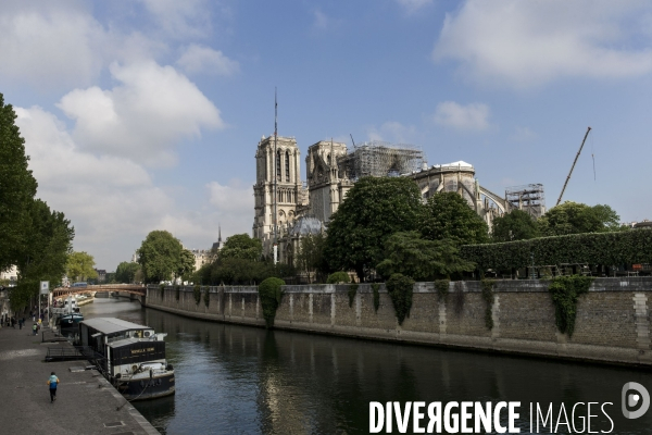 Les travaux sur la cathédrale Notre-Dame de Paris après l incendie