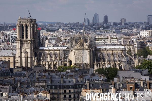Les travaux sur la cathédrale Notre-Dame de Paris après l incendie