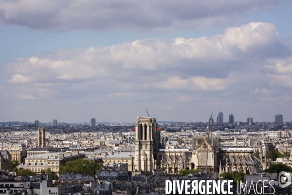 Les travaux sur la cathédrale Notre-Dame de Paris après l incendie