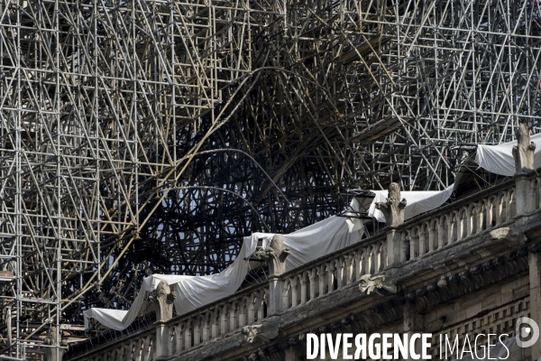 Les travaux sur la cathédrale Notre-Dame de Paris après l incendie