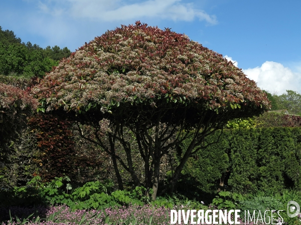 10 ans dne collection ; les impressionnistes
