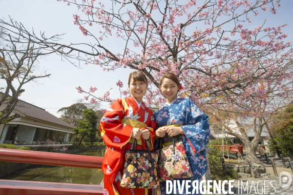 La floraison des cerisiers a tokyo