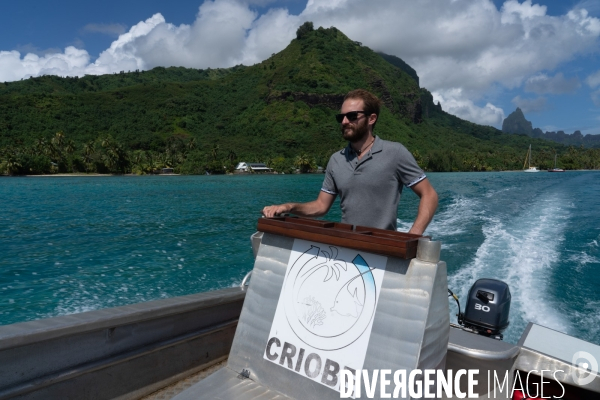 Yann Lacube, ingénieur d étude au CRIOBE (Centre de Recherche Insulaire et Observatoire de l Environnement ) part plonger dans le lagon de Moorea.