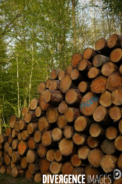 Exploitation des forêts,Eure