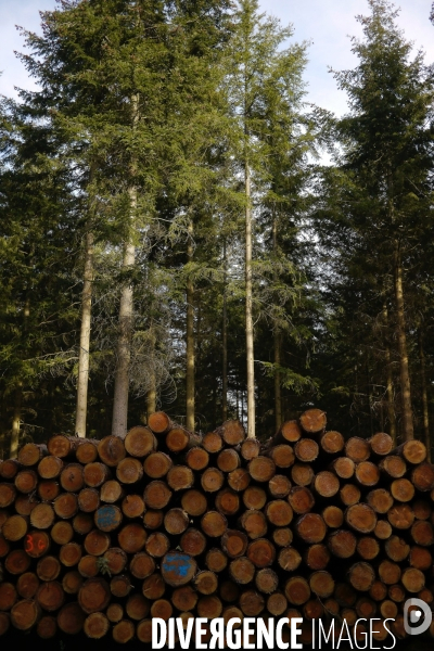 Exploitation des forêts,Eure