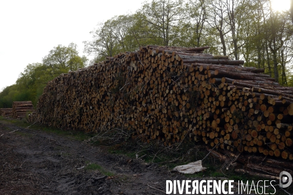 Exploitation des forêts,Eure