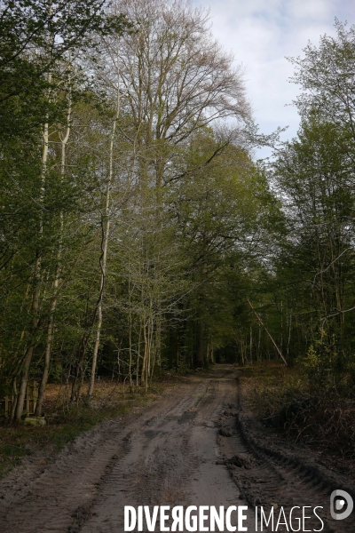 Exploitation des forêts,Eure