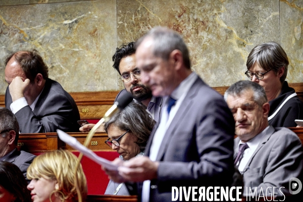 Assemblee Nationale