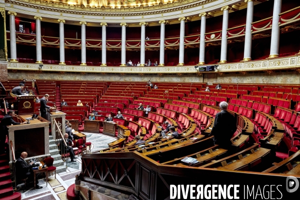 Assemblee Nationale