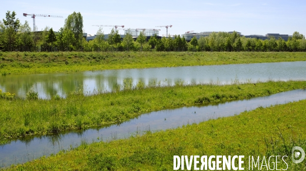 Saclay, campus urbain