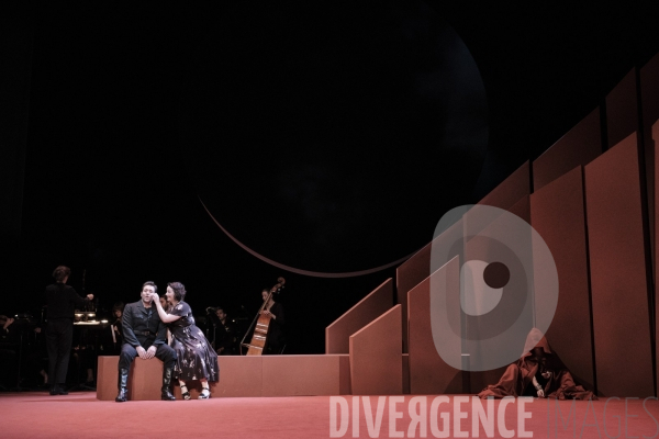 La Tragédie de Carmen / Florent Siaud