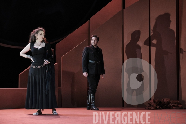 La Tragédie de Carmen / Florent Siaud