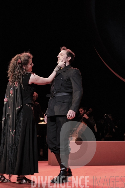 La Tragédie de Carmen / Florent Siaud